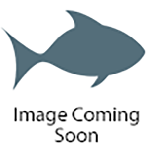 Undulate Trigger