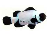 Clownfish Black Snowflake Special