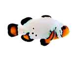 Clownfish Blacker Ice Special