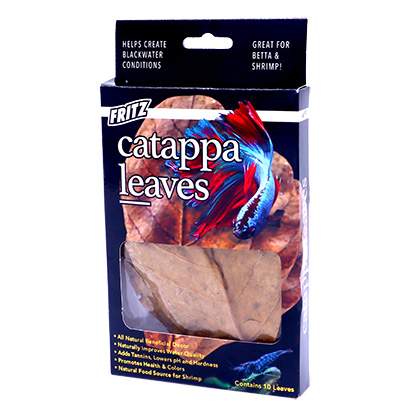 Catappa Leaves