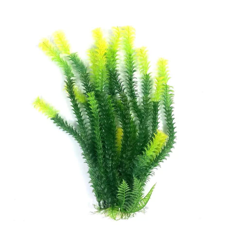 Light Green/Dark Green Hornwort Plant, 17 105432