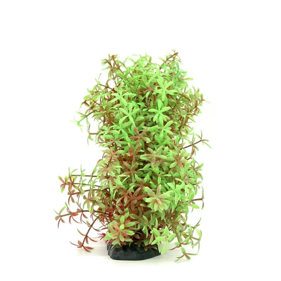 Green/Red Bendable Narrow Leaf Plant, 8 02021