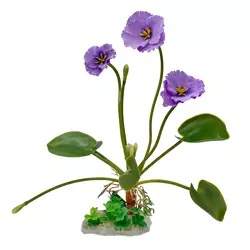 Green Leaf Plant with Purple Flowers, 12 B11303