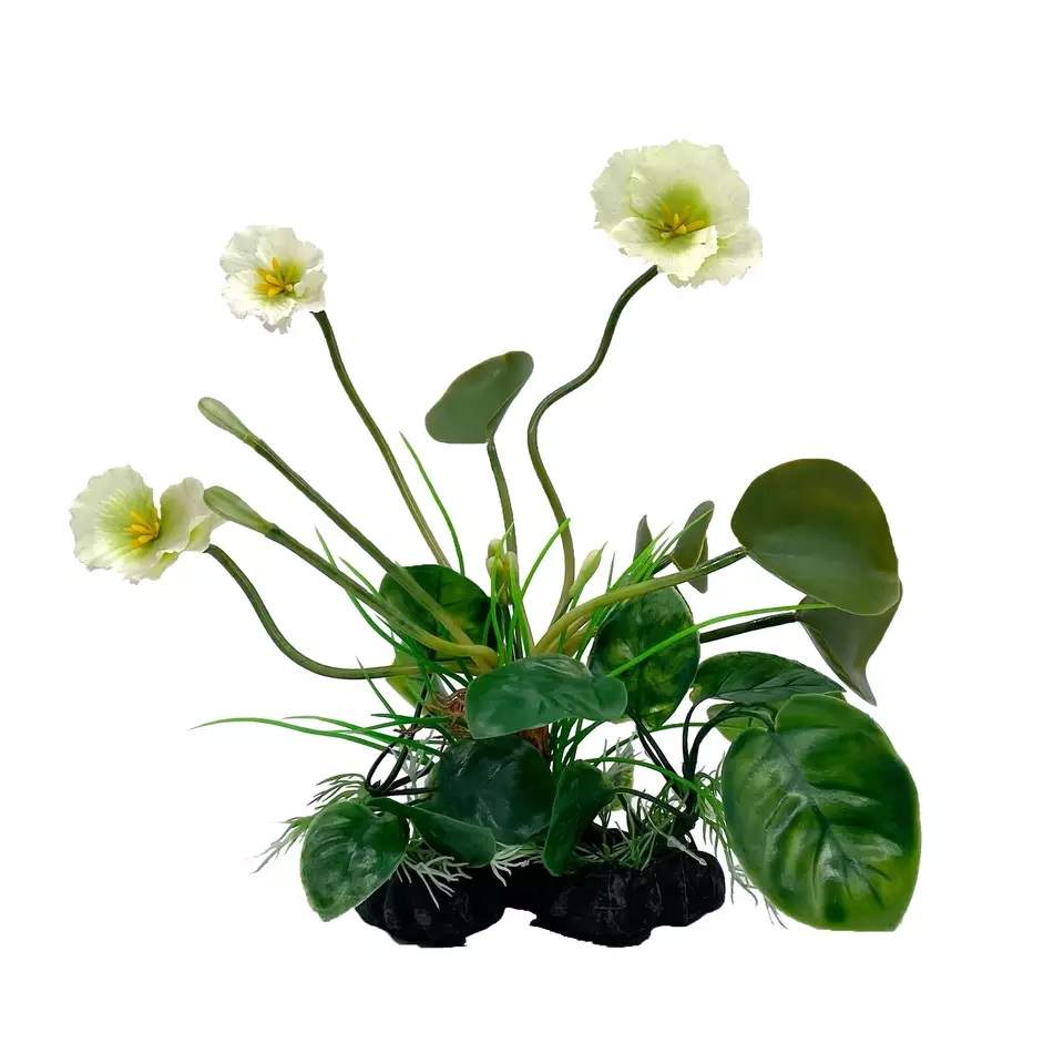 Green Leaf Plant with White/Green Flowers, 12 B11302