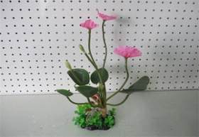 Green Leaf Plant with Orange/Red Flowers, 12 B11301