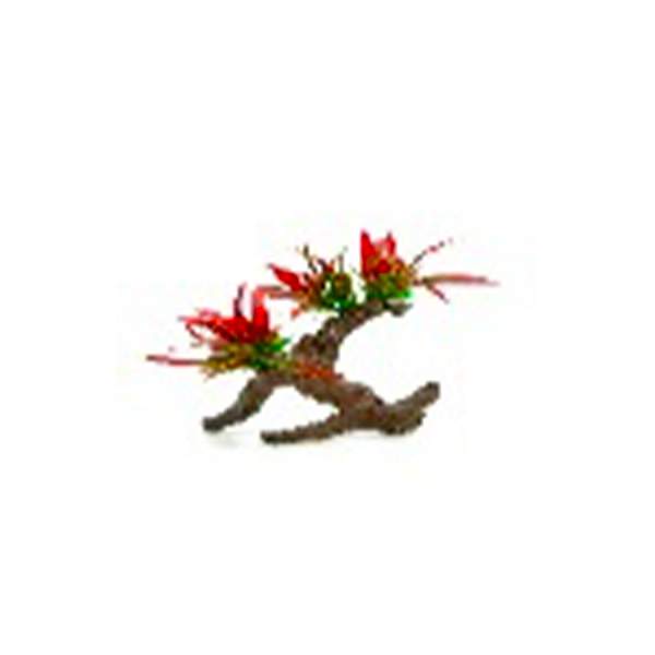 Long Red Leaf Plant on Driftwood, 6-8 1224171