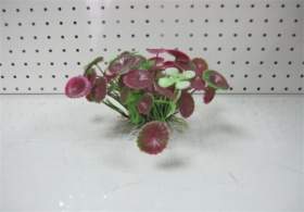 Green/Pink Plant with Clovers, 4-5 30125