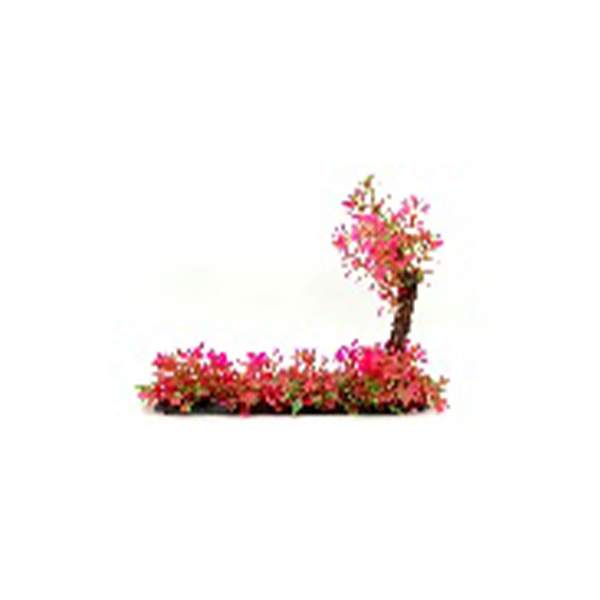 Small Leaf Pink Garden with Tree, 4-5 3525