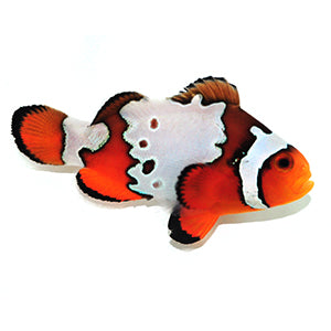 Clownfish Designer Fancy Snowflake