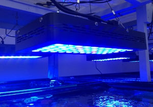 LED Light 165-Watt 6-Color