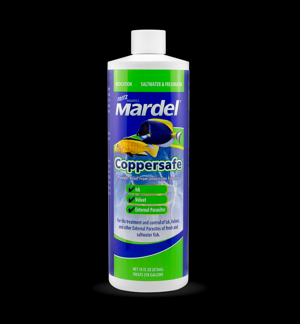 Fritz (Mardel) Coppersafe